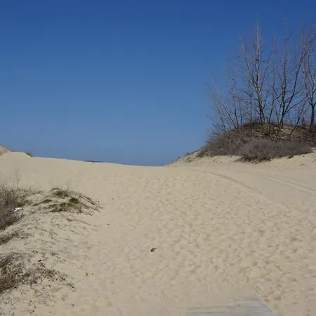 Daire Sun, Sea, Sunny Beach